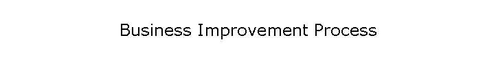 Business Improvement Process